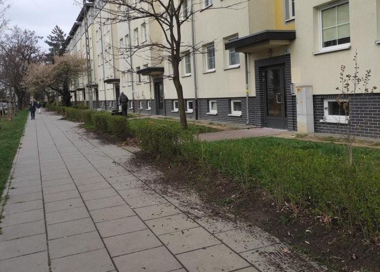 fot. Czytelniczka