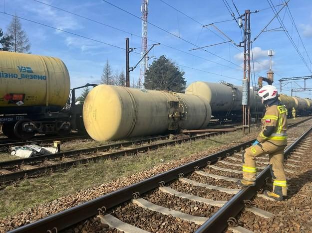 fot. mojaolesnica.pl/użyczone