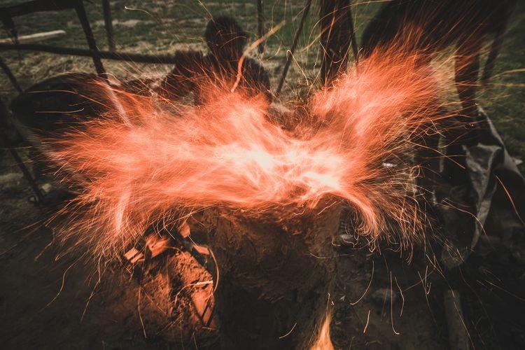 fot. Bartosz Janiczek/Rekografia