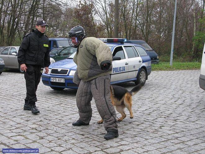 mat. dolnośląskiej policji