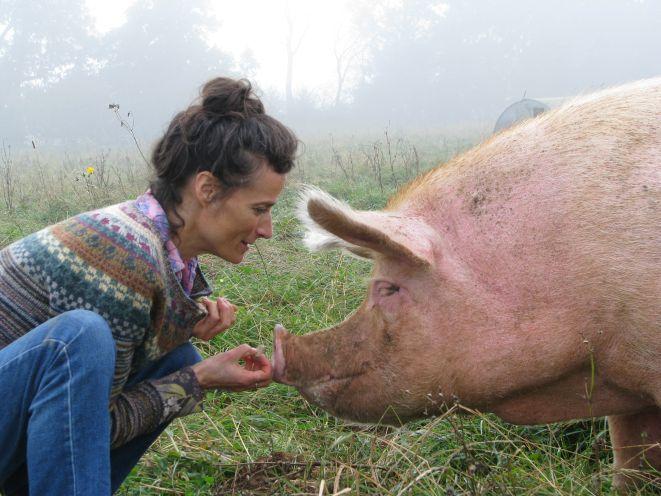 www.pigbusiness.co.uk