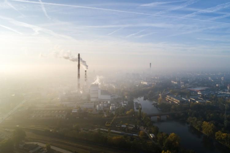 fot. Istockphoto