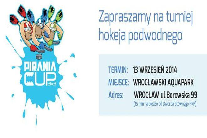 materiały organizatora 