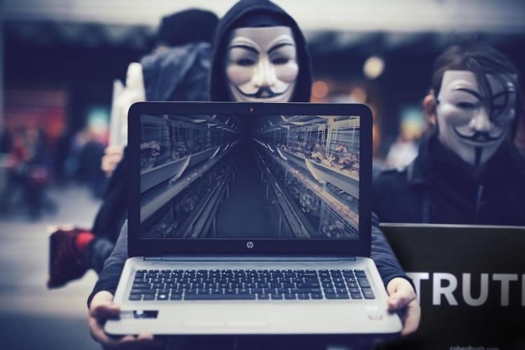 fot. Anonymous for the Voiceless