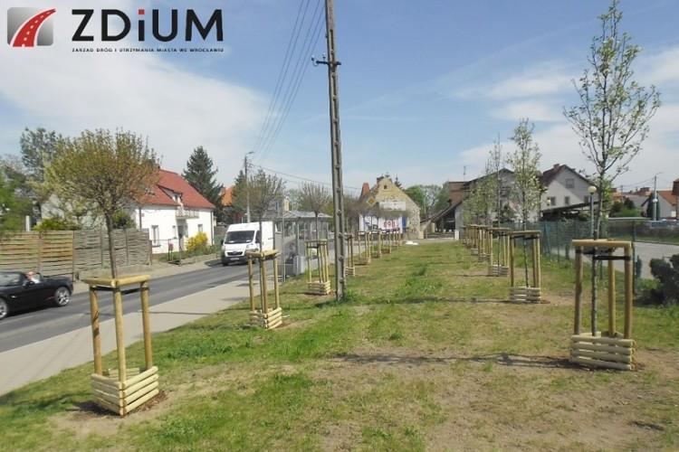 fot. ZDiUM