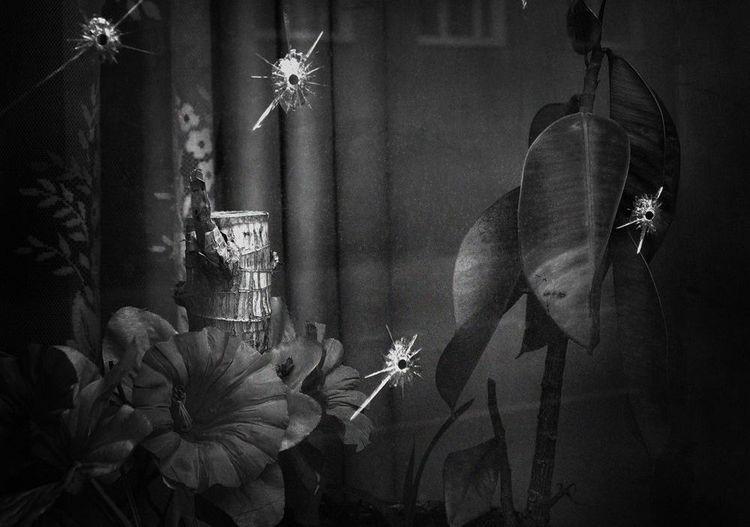 fot. Jolanta Rycerska