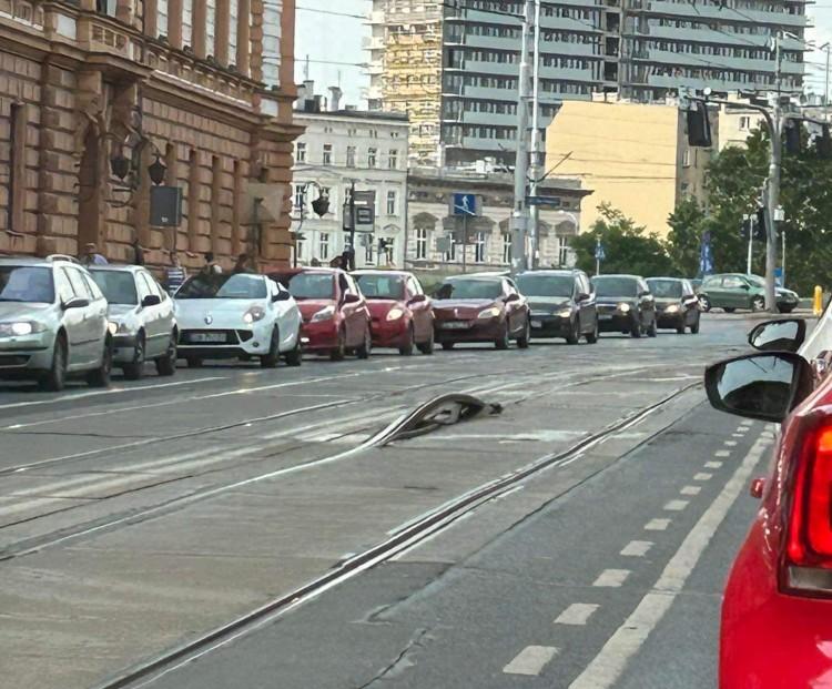 fot. Czytelnik