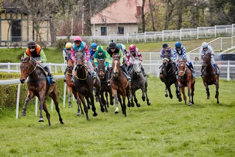 fot. Agata Władyczka