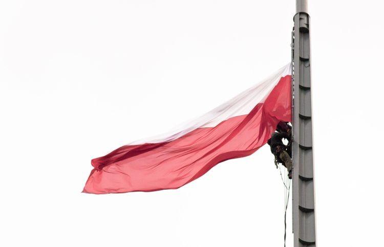 fot. Materiały prasowe