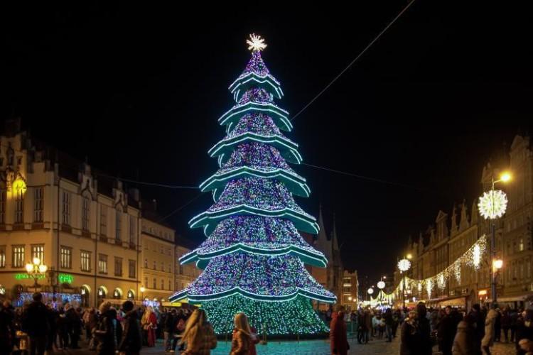 fot. UM Wrocławia