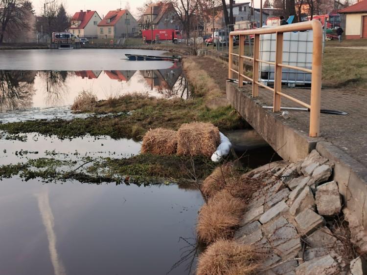 fot. WIOŚ Wrocław