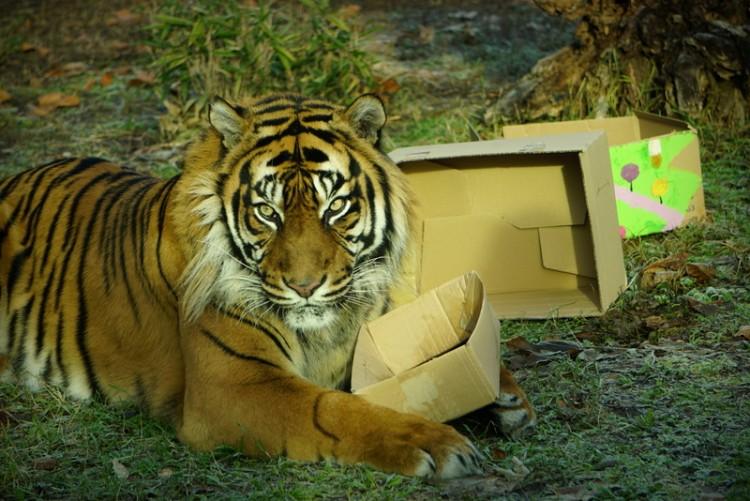 fot. ZOO Wrocław