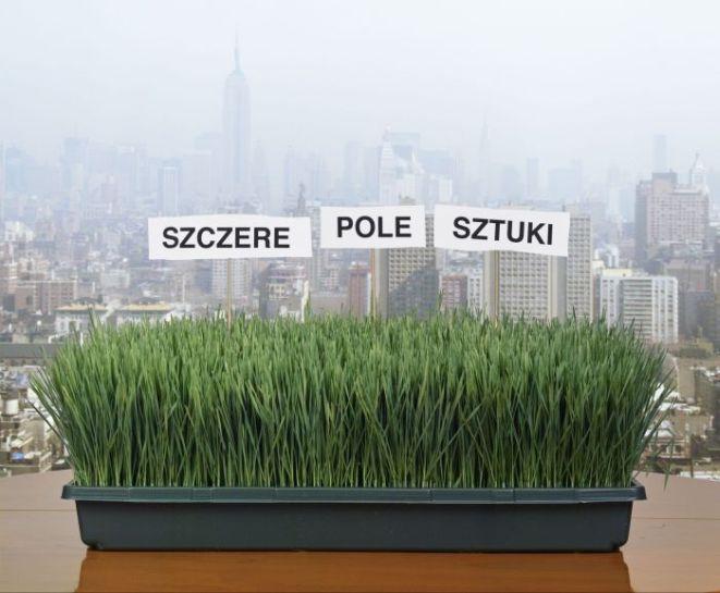 materiały prasowe