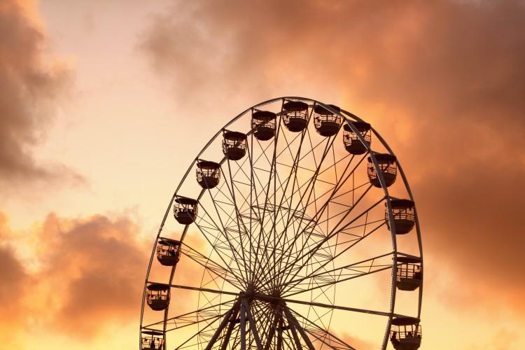 fot. Pexels