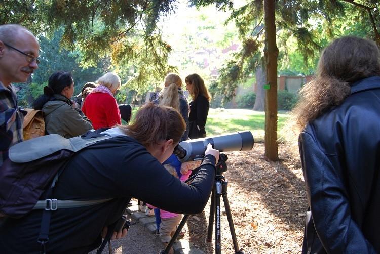 fot. Ogród Botaniczny UWr