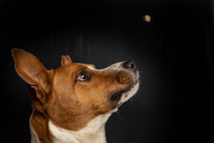 fot. unsplash.com