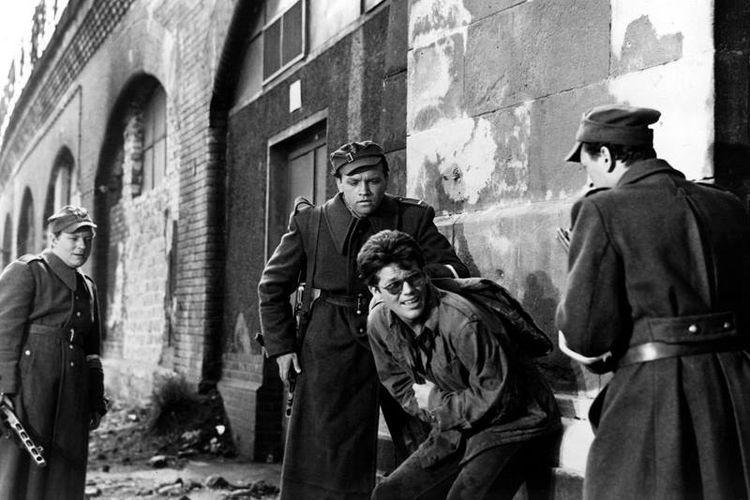 fot. Film.org.pl