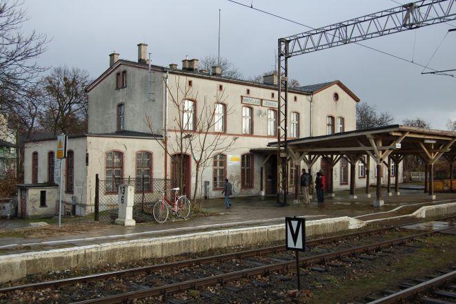 materiały prasowe