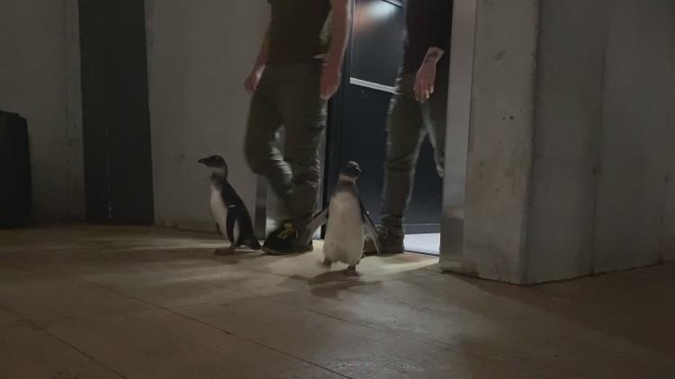 fot. ZOO Wrocław