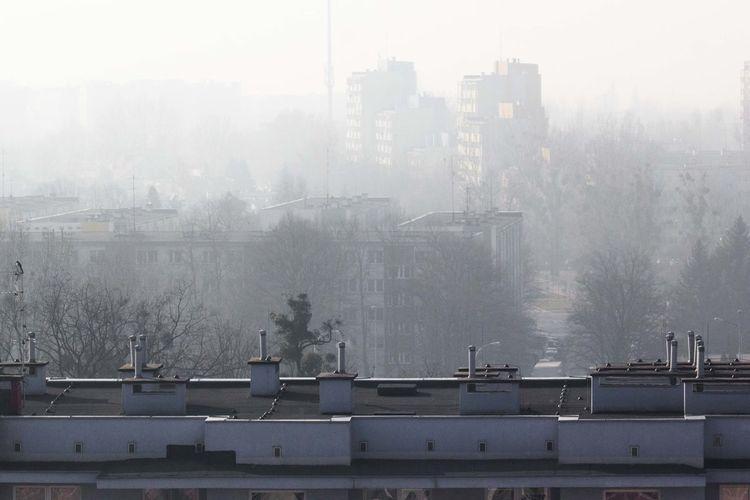 fot. Magda Pasiewicz/archiwum