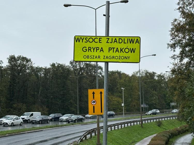 fot. Jakub Jurek