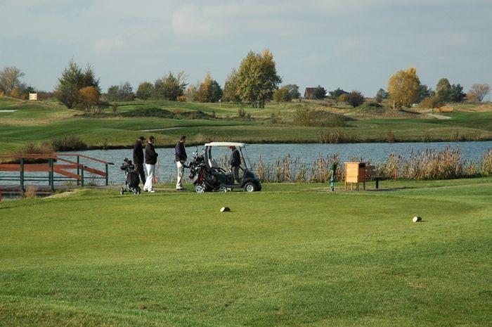 TOYA GOLF