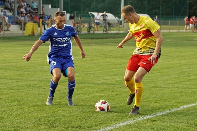fot. Wojciech Fryt (www.slezawroclaw.pl)