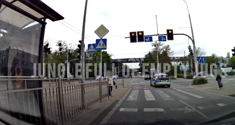 fot. Kadr z nagrania/YouTube