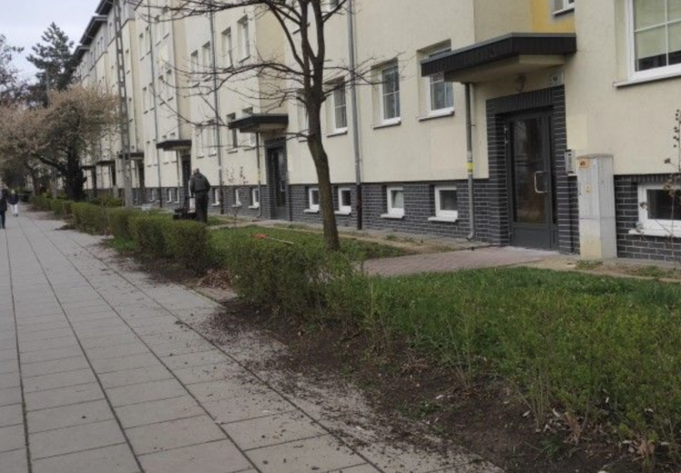 fot. fot. czytelniczka