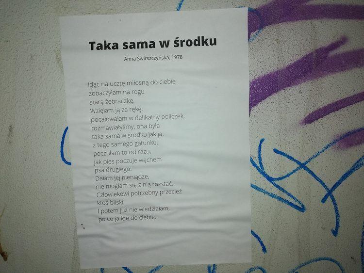 fot. bkr