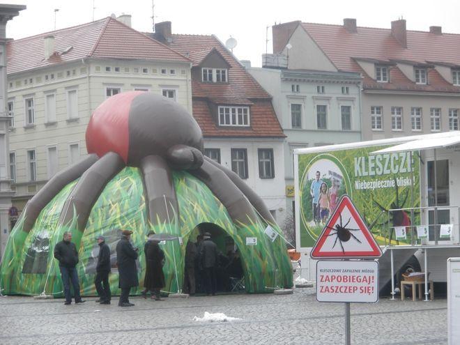materiały prasowe