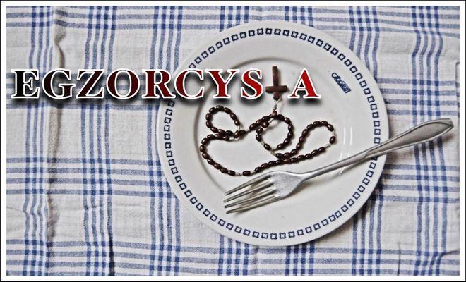 materiały organizatora 