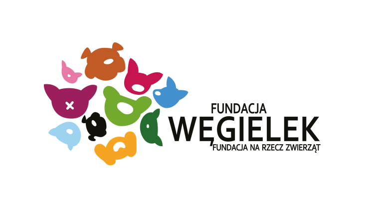 fot. zbiory organizatora
