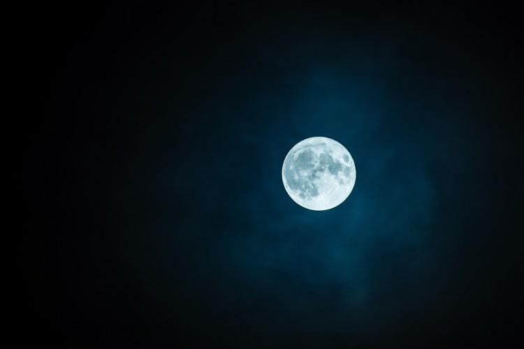 fot. Pixabay