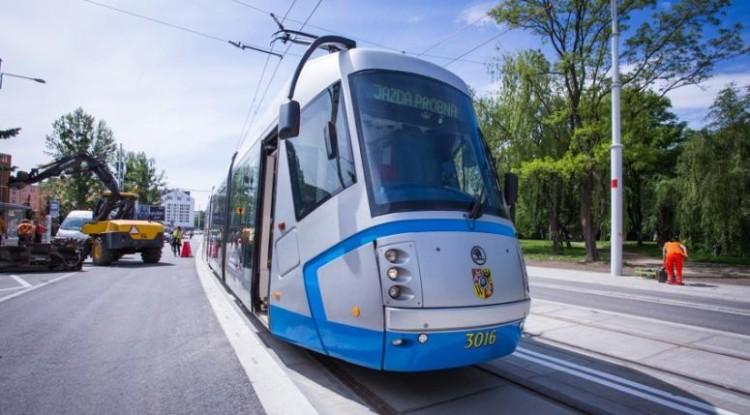 fot. Janusz Krzeszowski/wroclaw.pl