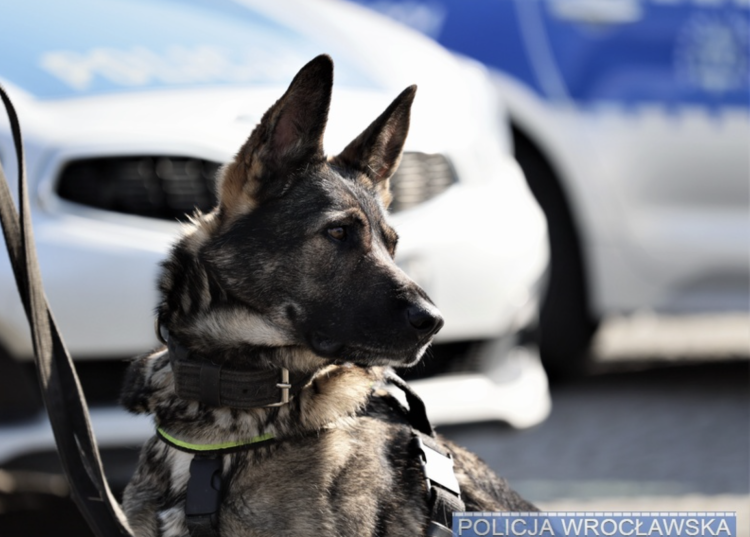 fot. Wrocławska Policja