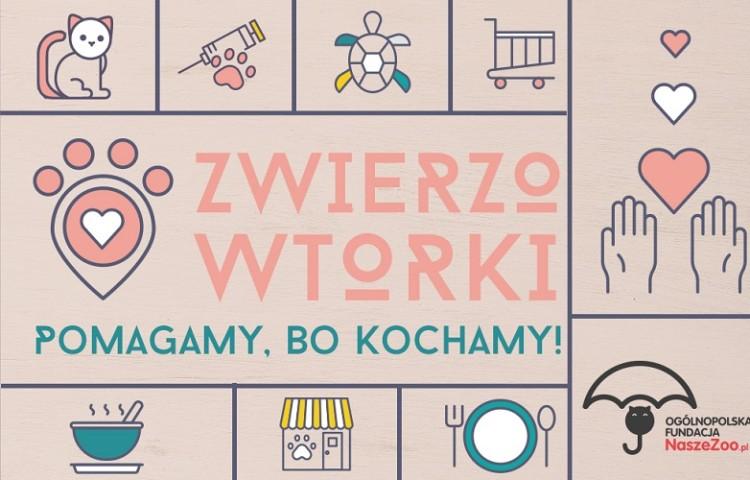 fot. materiały prasowe