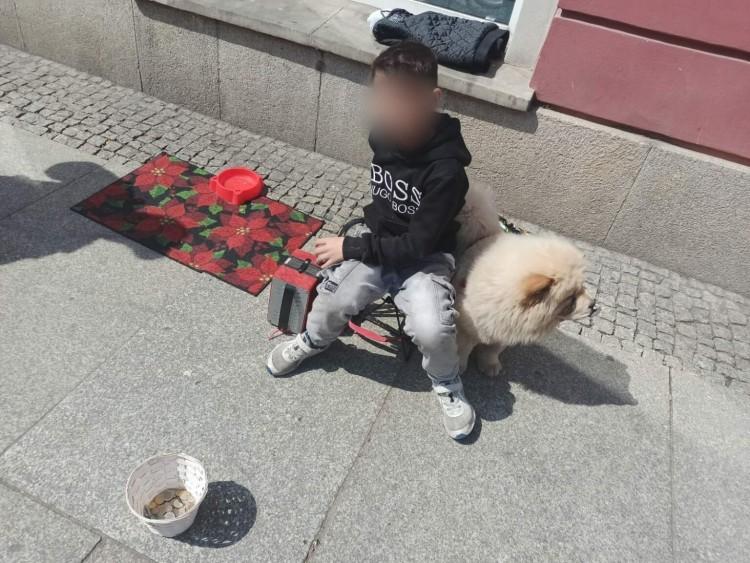 fot. Straż Miejska Wrocław
