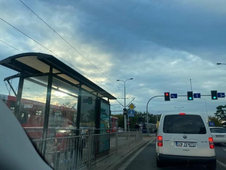 fot. Małgorzata To