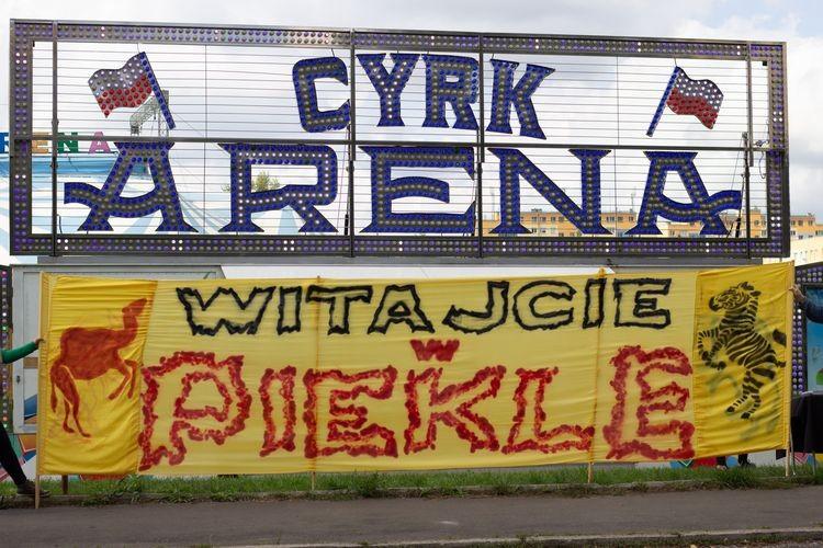 fot. Anna Plebanska/materiały prasowe