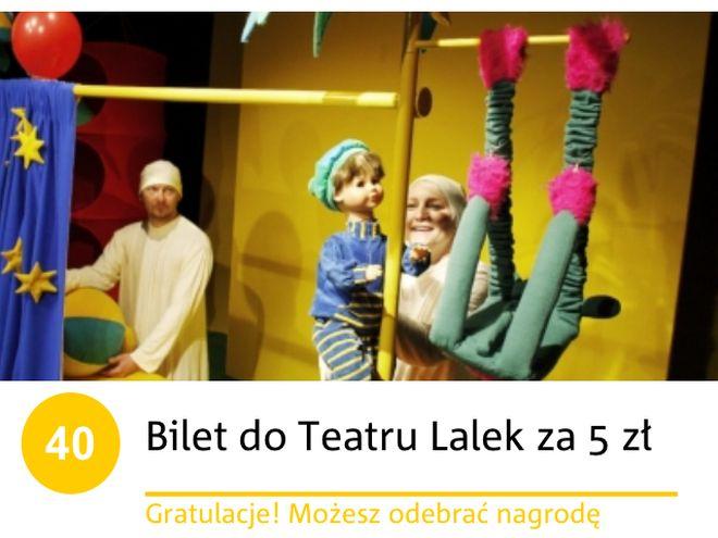 mat. organizatora