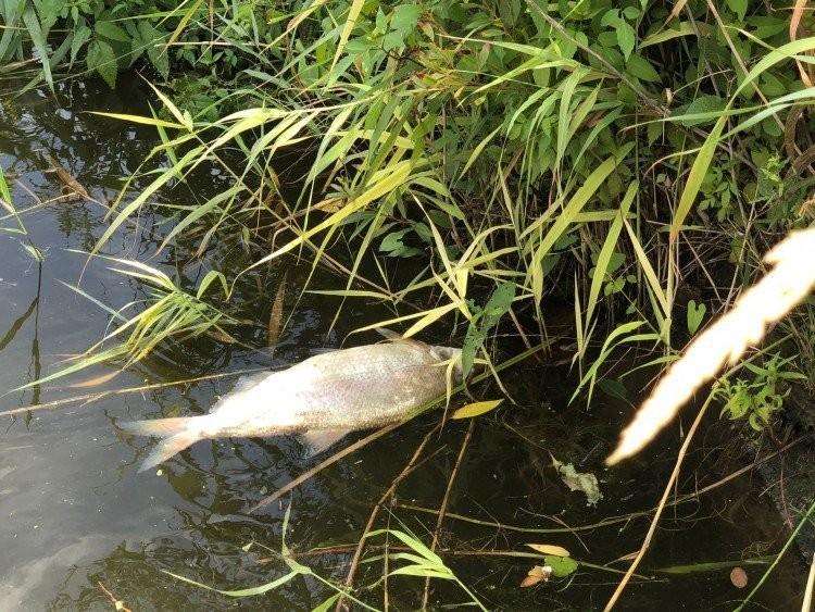 fot. Ratownictwo Wodne Rzeczpospolitej we Wrocławiu