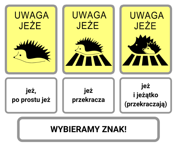 fot. mat. ZDiUM