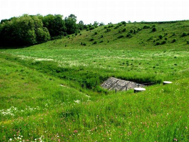 www.dzmiuw.wroc.pl