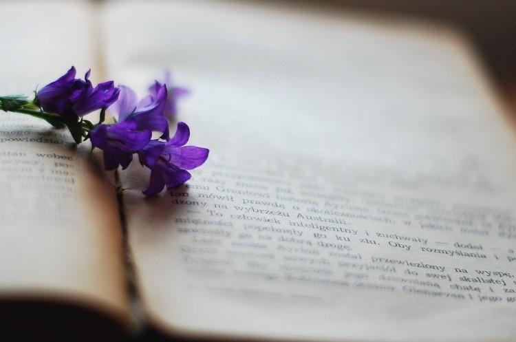 fot. pixabay.com