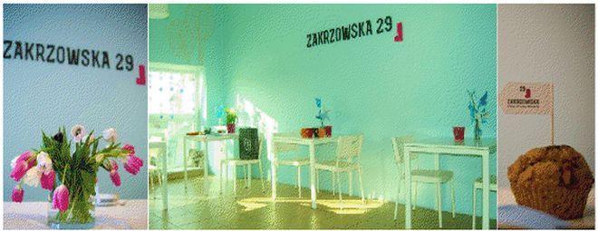 materiały organizatora