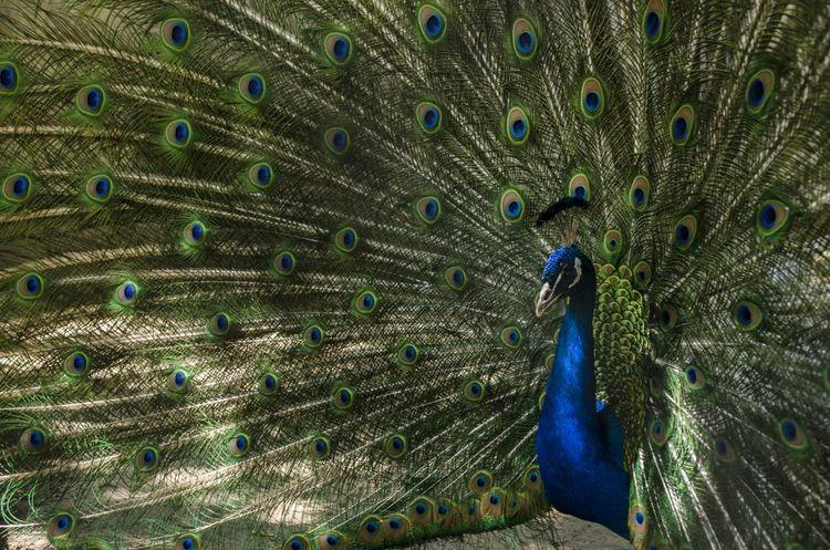fot. ZOO Wrocław