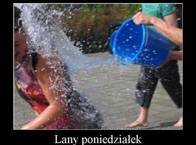 demotywatory.pl