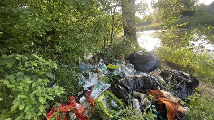 fot. Zdjęcie nadesłane przez czytelnika
