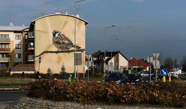 fot. goodlooking.pl